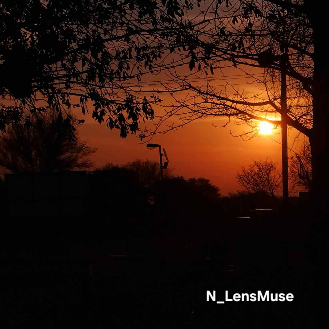 Landscape Image
